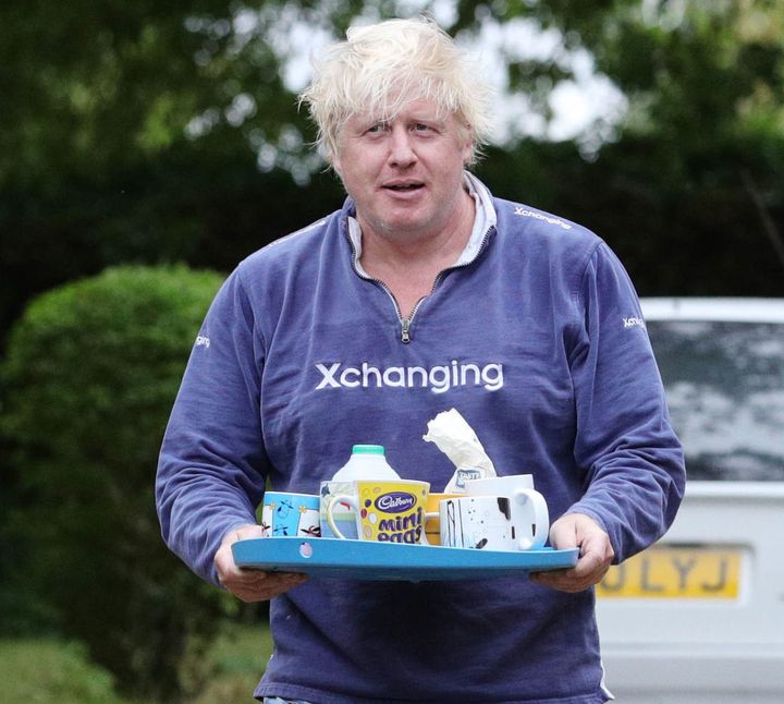 Prominent Brexiteers Boris Johnson (pictured) and Jacob Rees-Mogg are favourites among the leadership, according to many previous polls of the membership 