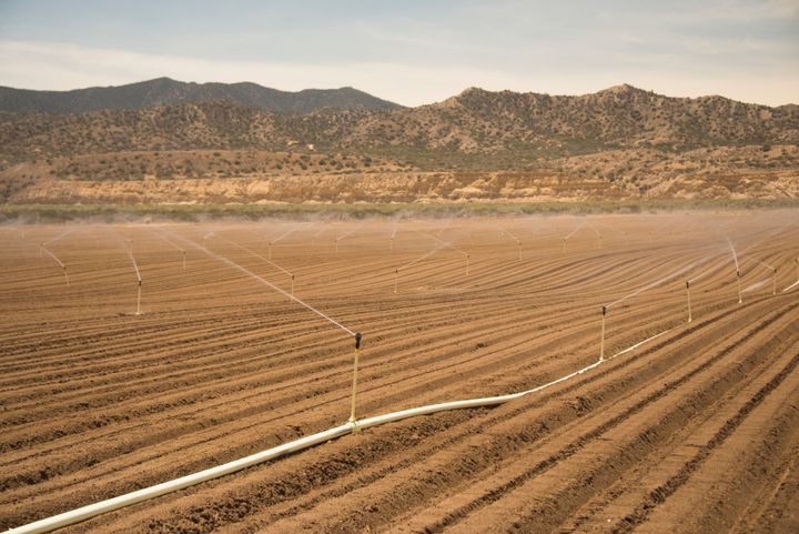 An irrigated field in Cuyama Valley in Central California. The state is a major supplier of fruits and vegetables to the rest of the nation. 