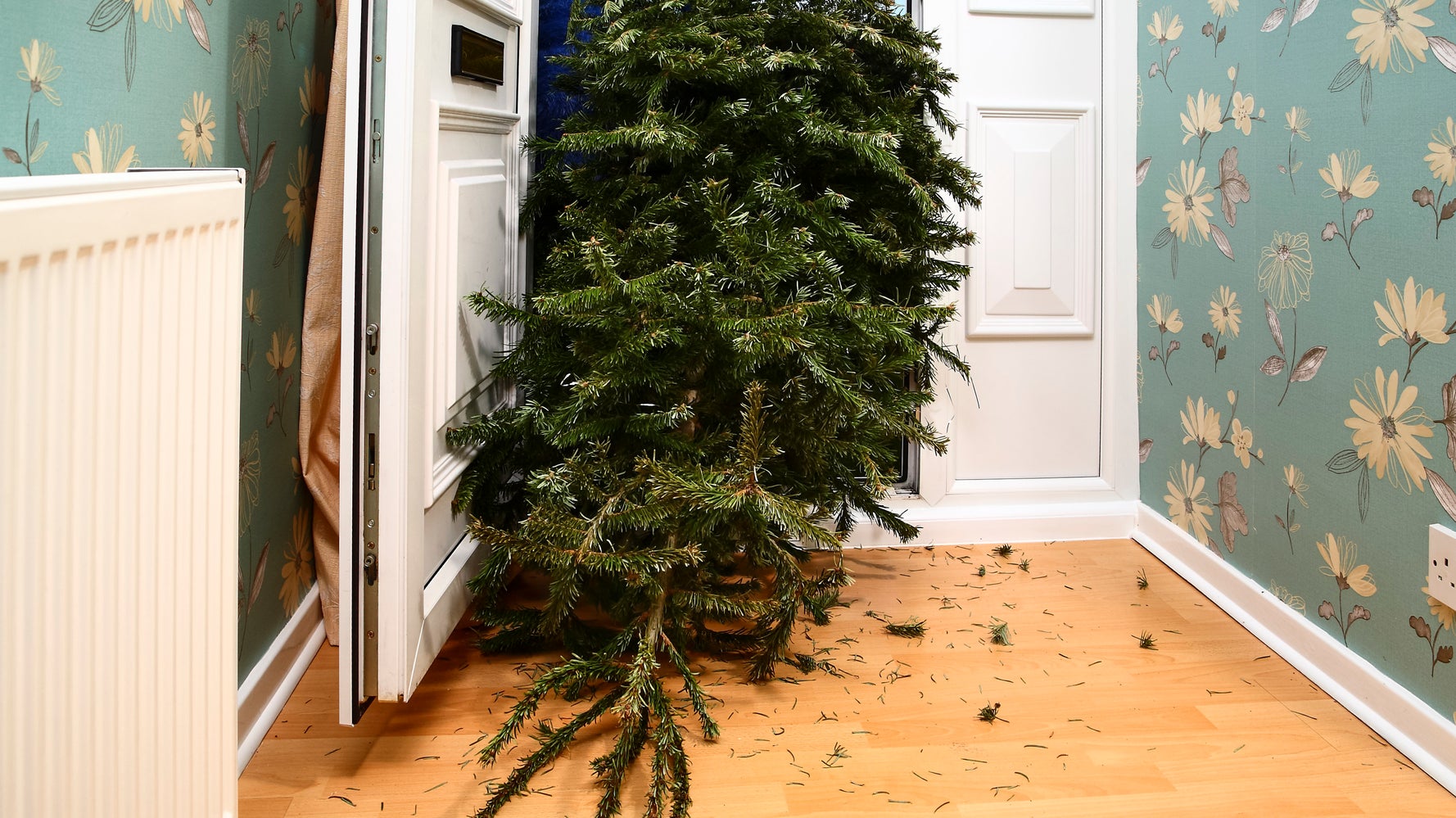 How To Recycle Your Christmas Tree And Do Good At The Same