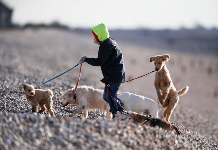 Frosty conditions are expected, but the dry conditions mean there is little chance of snow 