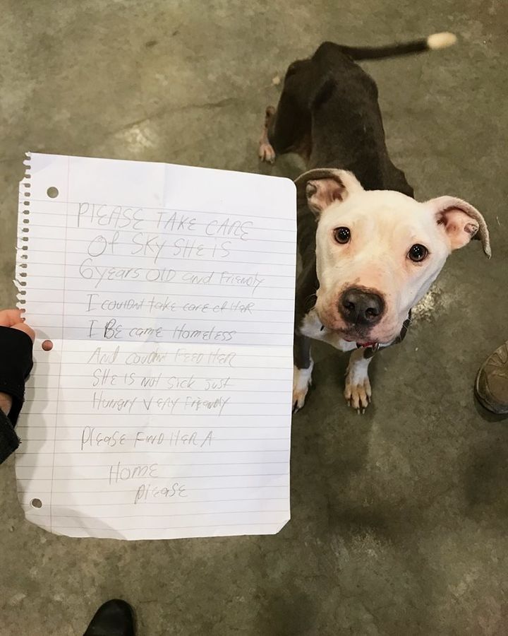 Sky and the note found inside a bag she was wearing while wandering the property of the Delaware Humane Association.