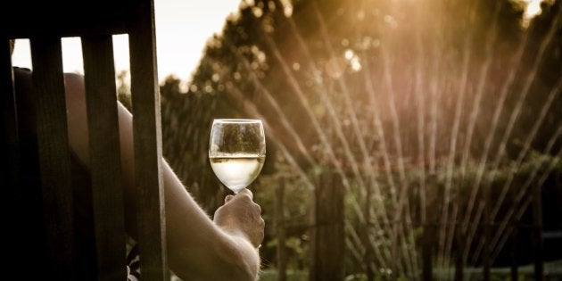 Vinho é uma ótima opção de bebida sociável e saborosa