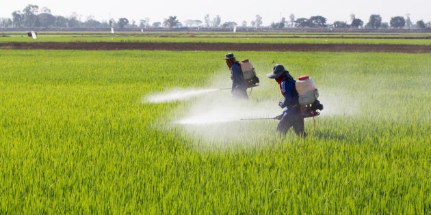 O greenwashing (em português,