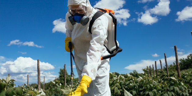 O projeto apresenta uma série de mudanças na atual Lei dos Agrotóxicos e vem gerando polêmica desde o início do ano.