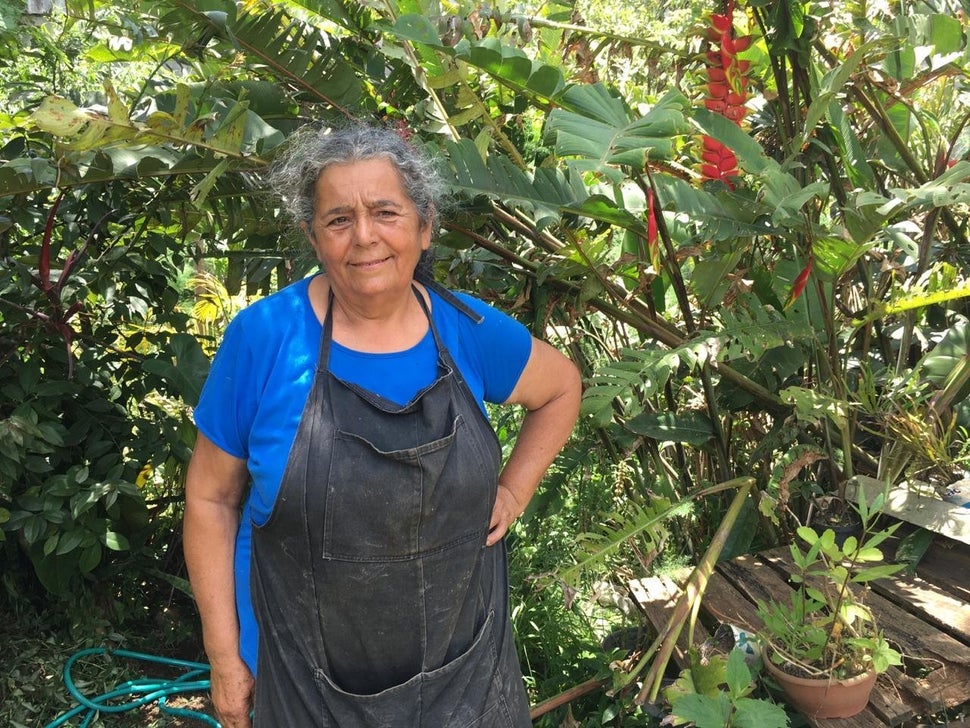 Dona Sebastiana, em sua horta em São Mateus, zona Leste.
