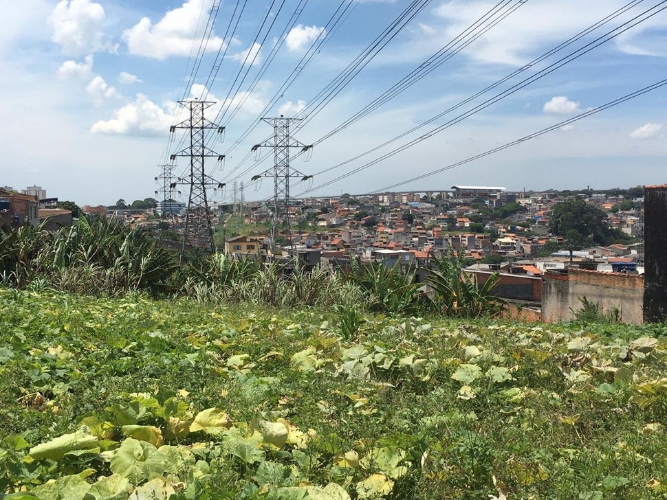 Horta da ONG Cidades sem Fome em São Paulo.