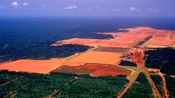 O papel do agronegócio brasileiro para atingirmos uma economia
