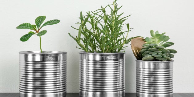 5 maneiras simples para você produzir menos lixo em casa 3 produzir menos lixo