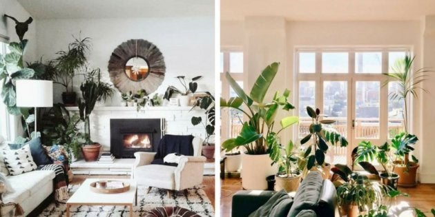 Inspire-se nesses perfis para começar o seu próprio jardim.