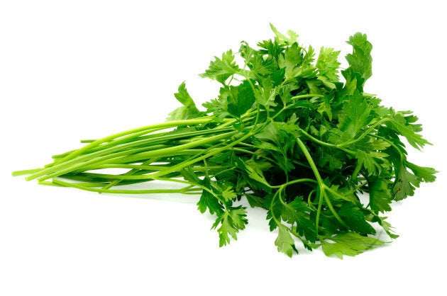 Salsa fresca.