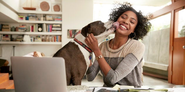 Pesquisadores incentivam falar com voz de bebê com cachorros.
