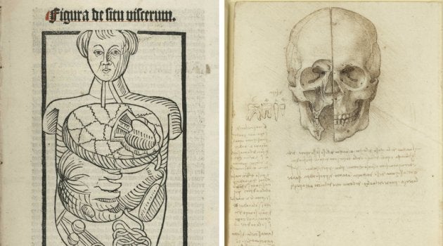Esquema do corpo humando (esquerda), desenho de 1501. Crânio seccionado (direita), desenho de 1489 de Leonardo da Vinci.