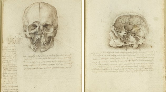 O crânio seccionado, Leonardo da Vinci (1489).
