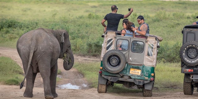 A TripAdvisor, plataforma de turismo, aumentou as restrições para a venda de ingressos de atividades que envolvem animais.