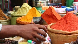 The Magic Of Vegetarian