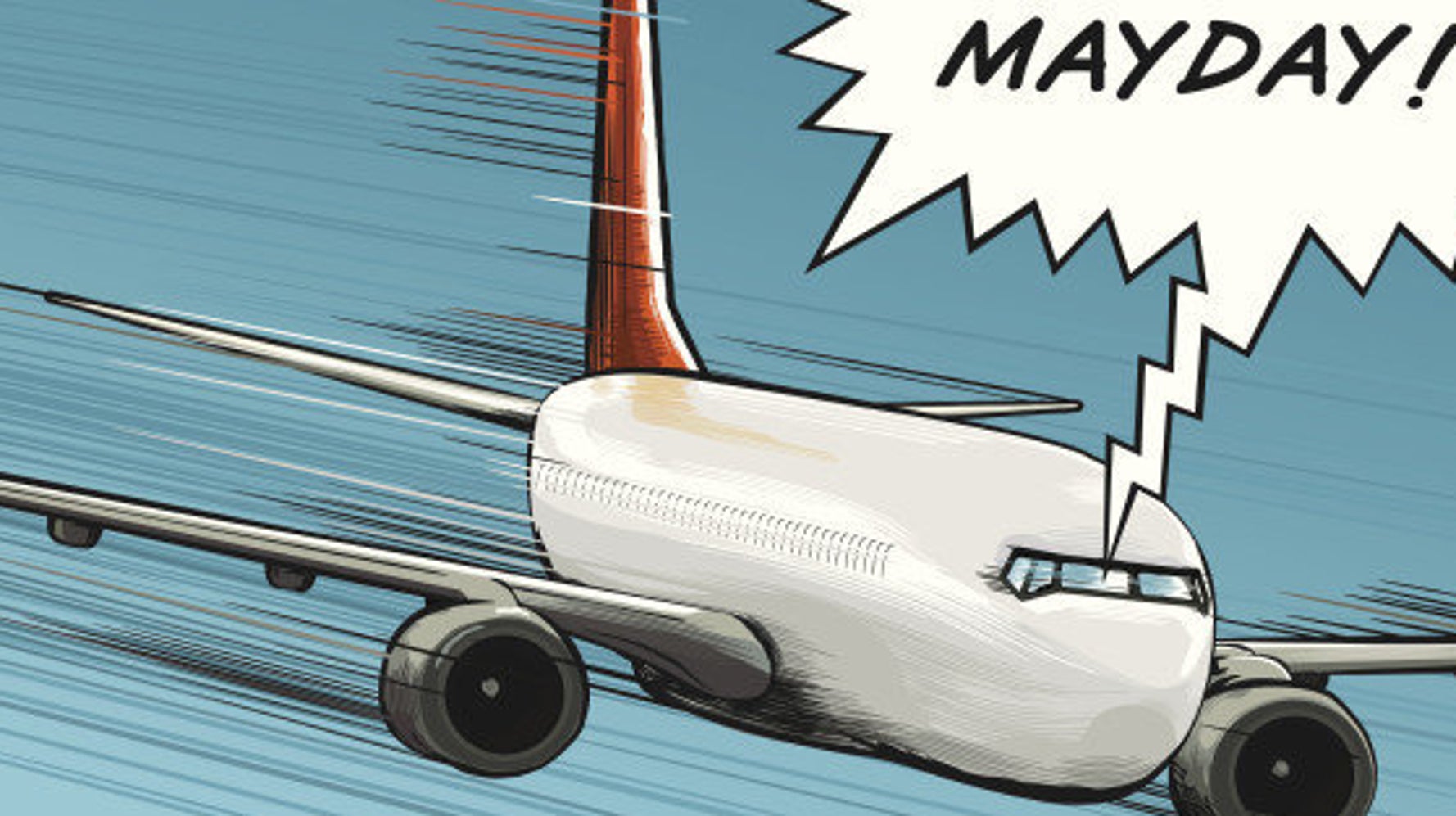 Indian-American Pilot's Selfies Caused Plane Crash | HuffPost News