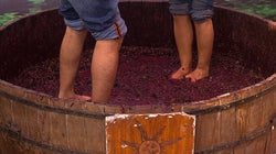 SulaFest 2015: Wine, Song And A Weekend In The