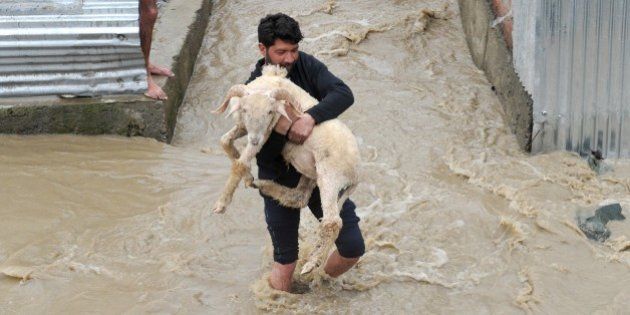 A resident carries a sheep through waters as they rise in a neighbourhood of Srinagar on March 30, 2015. At least 10 people have been buried by mudslides and hundreds more have had to flee their homes after heavy rain triggered flooding in Indian Kashmir, police said. Mudslides buried at least four houses in Chadoora, the worst hit area of the Himalayan region where hundreds were killed in devastating floods last September. AFP PHOTO/Rouf BHAT (Photo credit should read ROUF BHAT/AFP/Getty Images)