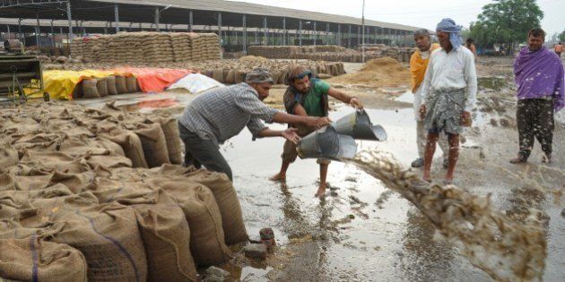 Indian labourers bail accumulated rainwater near flooded sacks of wheat after unseasonal overnight rains soaked the area at a grain distribution point in Amritsar on May 13, 2014. Punjab is India's largest wheat producing state, contributing nearly 70 percent of the national total. Farmers in Punjab state have incurred huge losses as unseasonal rainfall damaged wheat crops, washing away prospects of a bumper production. AFP PHOTO/NARINDER NANU (Photo credit should read NARINDER NANU/AFP/Getty Images)