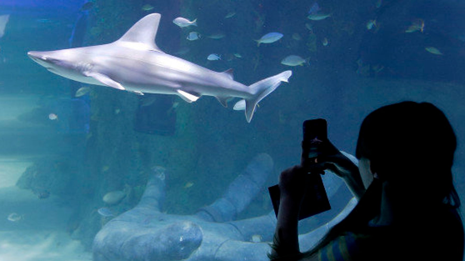 10YearOld's Earnest Letter To Agriculture Minister Explaining Why