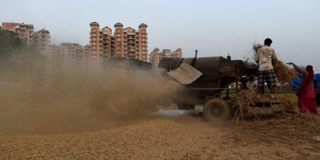 Indian farmers work in a field as they seperate husk from harvested wheat grains by using a harvestor machine in Faridabad, a suburb of New Delhi on April 30, 2015. AFP PHOTO/MONEY SHARMA. (Photo credit should read MONEY SHARMA/AFP/Getty Images)