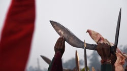 Gadhimai, Simhachalam And The Political Economy Of Animal
