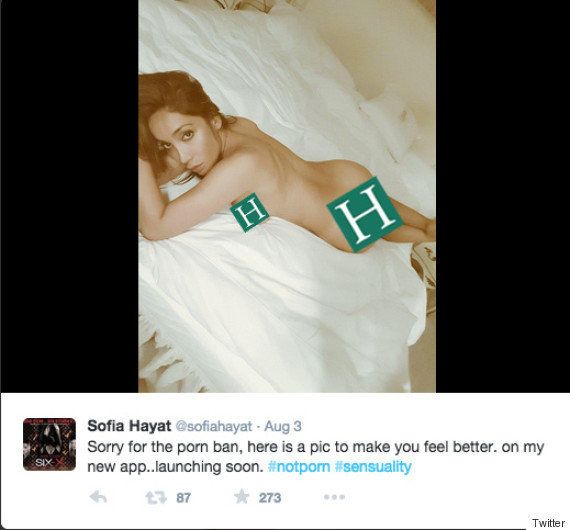 Sofia Hayat, Former 'Bigg Boss' Contestant, Tweets Nude Photo To ...