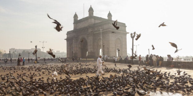 Pigeons, India Gate, Colaba, Mumbai (Bombay), India