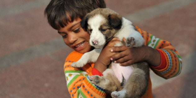 A homeless Indian child plays with a puppy in New Delhi on February 13, 2012. India is home to nearly half of the world's hungry, according to the World Food Programme, with some 40 percent of the population living below the global poverty line of less than 1.25 dollars a day. AFP PHOTO/ SAJJAD HUSSAIN (Photo credit should read SAJJAD HUSSAIN/AFP/Getty Images)