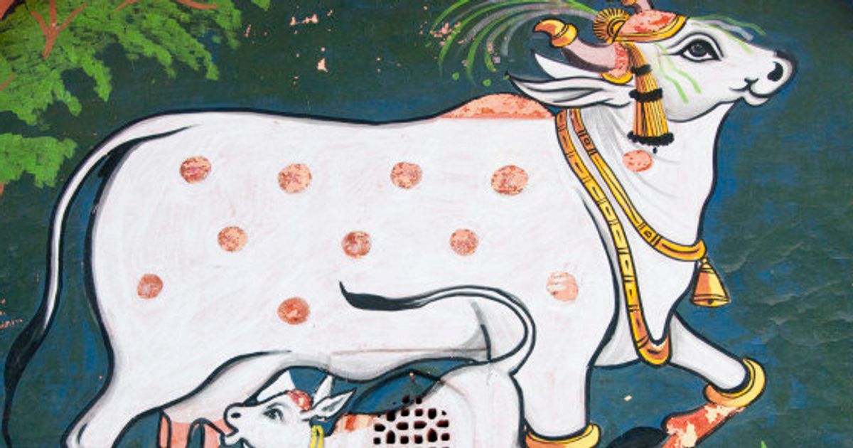 India's High Beef Exports Are Linked To Its Milk Consumption | HuffPost News