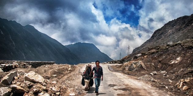 Yak and local man of Sikkim in a mountain