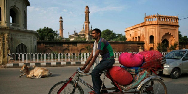 An Indian rickshaw driver carries sacks of flowers as he rides past a cow sitting on a road in Lucknow, India, Wednesday, Aug. 12, 2015. (AP Photo/Rajesh Kumar Singh)