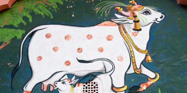 On the wall of a temple, a cheerful scene, with a decorated cow and her baby calf sucking milk.