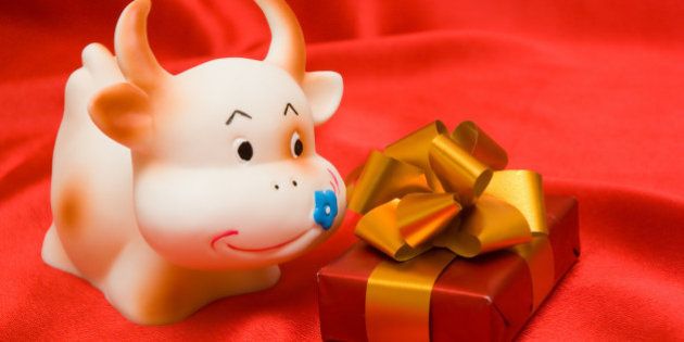 cow and gift
