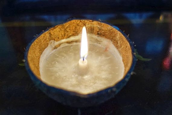 DIY COCONUT Shell CANDLE 