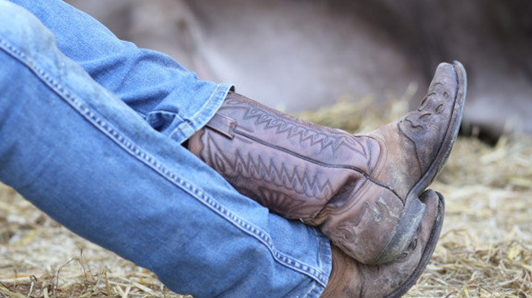 Myntra Comes Under Attack On Twitter For Selling Cow Hide Shoes