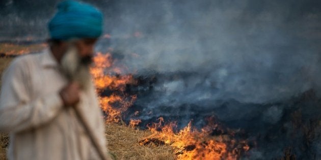 To go with Climate-warming-UN-COP21-India,FOCUS by Trudy HarrisIn this November 6, 2015 photo, an Indian farmer feeds a controlled fire of spent rice stalks as he prepares the field for a new crop in the southeastern part of the state of Punjab, some 120 km north of New Delhi. India's capital, with 18 million residents, has the world's most polluted air with six times the amount of small particulate matter (pm2.5) than what is considered safe, according to the World Health Organization (WHO). The air's hazardous amount of pm2.5 can reach deep into the lungs and enter the blood, causing serious long term health effect, with the WHO warning India has the world's highest death rate from chronic respiratory diseases. India, home to 13 of the world's top 20 polluted cities, is also the third largest emitter of greenhouse gases behind the United States and China. In Delhi, the air pollution is due to vehicle traffic including cargo trucks running on low-grade diesel, individual fires that residents burn in winter, crop being burnt by farmers in neighboring states, and construction site dust. Burning coal in power plants is also major contributor that is expected to increase hugely in the coming decades to match electricity needs of the ever-growing city and its booming satellite towns. AFP PHOTO / ROBERTO SCHMIDT (Photo credit should read ROBERTO SCHMIDT/AFP/Getty Images)