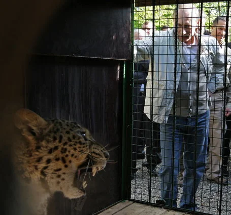 Allah' Punishing Turkish Leaders By Stripping Them Of Sanity, Says Putin |  HuffPost News