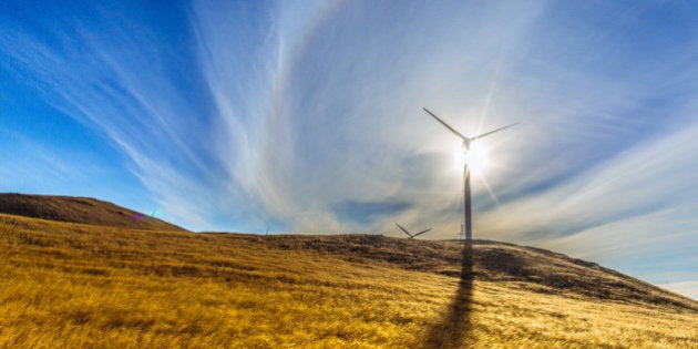 Solar halo in grassland.