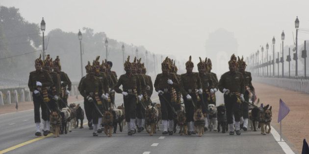 NEW DELHI, INDIA - JANUARY 17: Indian Army's Remount and Veterinary Corps (RVC) dogs trained for bomb disposal and counter-insurgency take part during rehearsal for the Republic Day Parade at Rajpath on January 17, 2016 in New Delhi, India. Annual Parade is held at Rajpath on January 26 to mark India's Republic Day Celebrations, which extends for 3 days. The parade showcases Indiaâs Defence Capability, Cultural and Social Heritage. (Photo by Arvind Yadav/Hindustan Times via Getty Images)