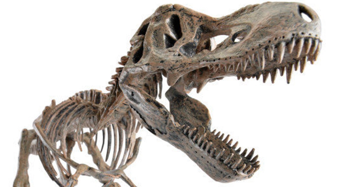 Dinosaur Fossils Discovered In Gujarat HuffPost India