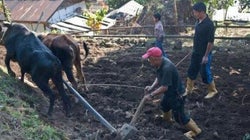 Sikkim Organic Mission: Why We Need To Dig