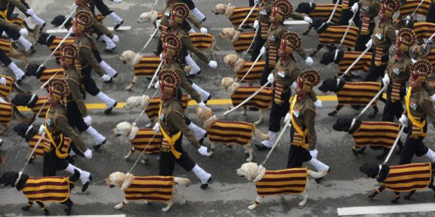 Indian army's dog squad march down Rajpath during the Republic Day parade in New Delhi, India, Tuesday, Jan. 26, 2016. French President Francois Hollande is the chief guest for this year's celebrations which marks 66 years since the country adopted its constitution. (AP Photo/ Manish Swarup)