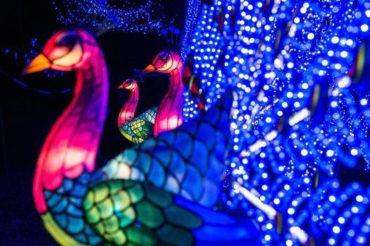 Preview Of London's Chinese Lantern Festival