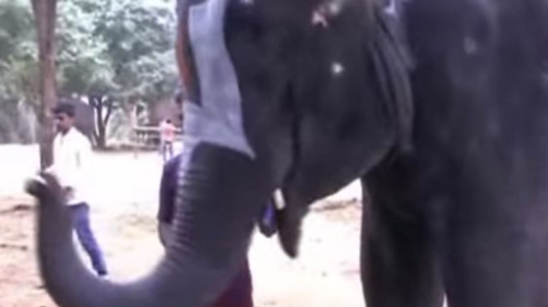 what is the sound of elephant in tamil