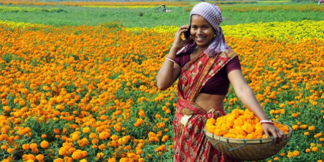 Village woman plucking marigold while receiving mobile call.