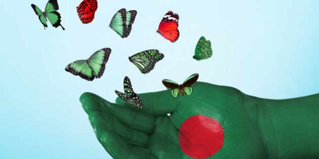 butterfly, country, flag, bangladesh, nation, tradition, culture, freedom, dream, hope, love, peace, equality, concept, creative, studio, sky, studio, fly, freedom, liberation, single hand, concept, colorful, vote, politics, charity, hope, future