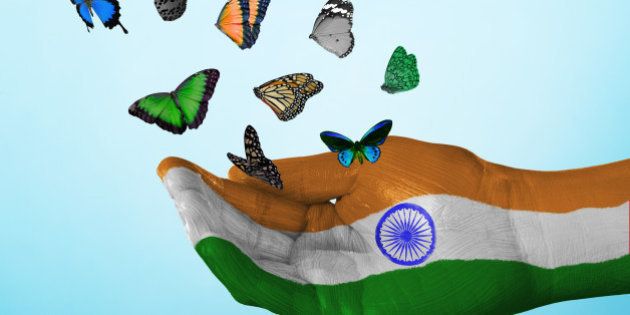 butterfly, country, flag, india, nation, tradition, culture, freedom, dream, hope, love, peace, equality, concept, creative, studio, sky, studio, fly, freedom, liberation, single hand, concept, colorful, vote, politics, charity, hope, future