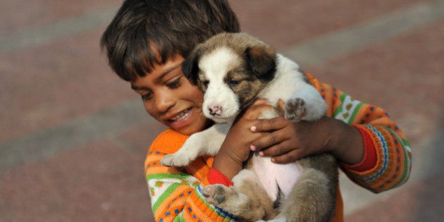 A homeless Indian child plays with a puppy in New Delhi on February 13, 2012. India is home to nearly half of the world's hungry, according to the World Food Programme, with some 40 percent of the population living below the global poverty line of less than 1.25 dollars a day. AFP PHOTO/ SAJJAD HUSSAIN (Photo credit should read SAJJAD HUSSAIN/AFP/Getty Images)