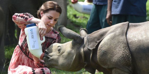 GUWAHATI, INDIA - APRIL 13: Catherine, Duchess of Cambridge visits the Centre for Wildlife Rehabilitation and Conservation at Kaziranga National Park on April 13, 2016 in Guwahati, India. (Photo by UK Press Pool/Getty Images)